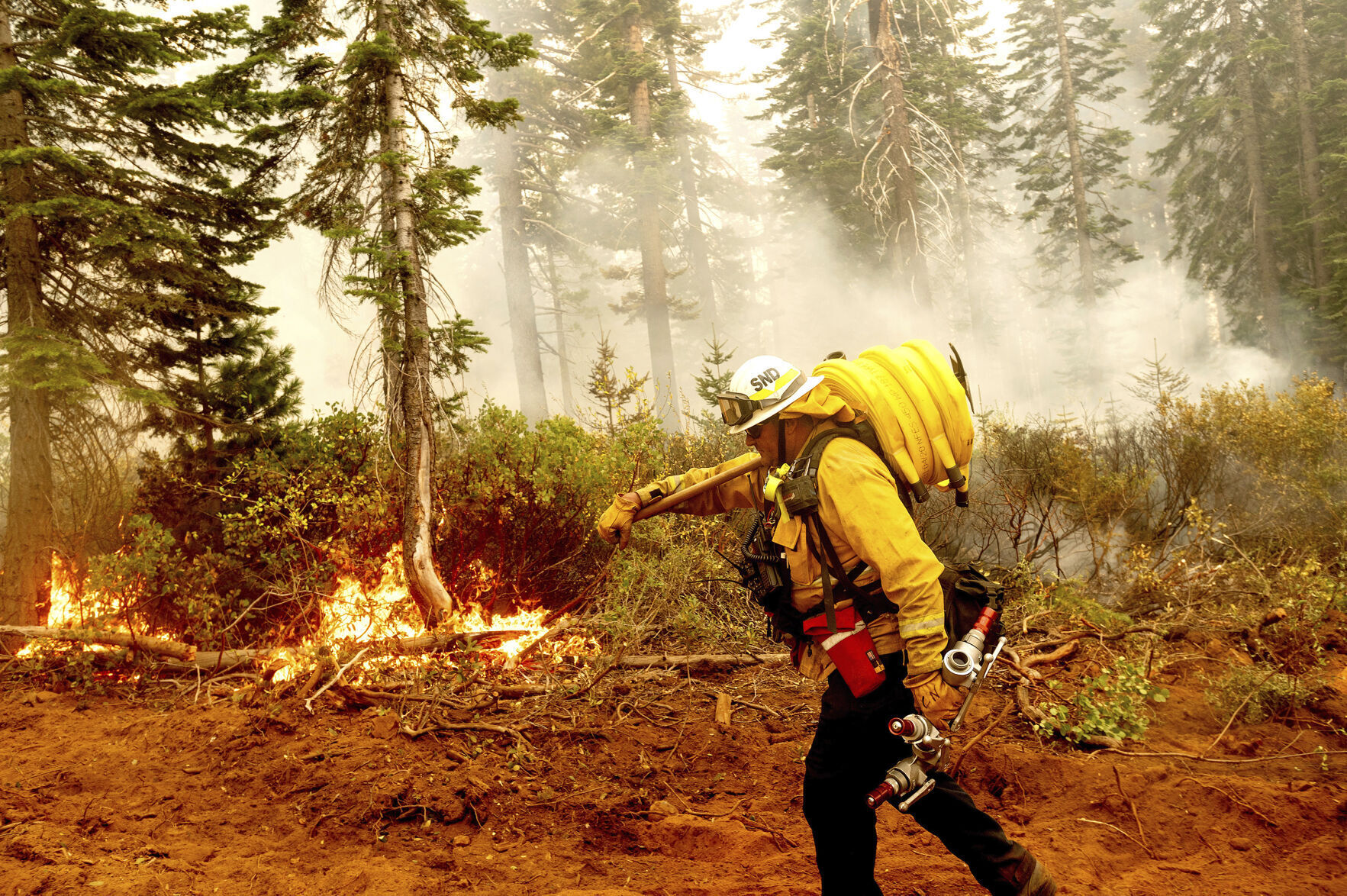 2020: Wildfires
